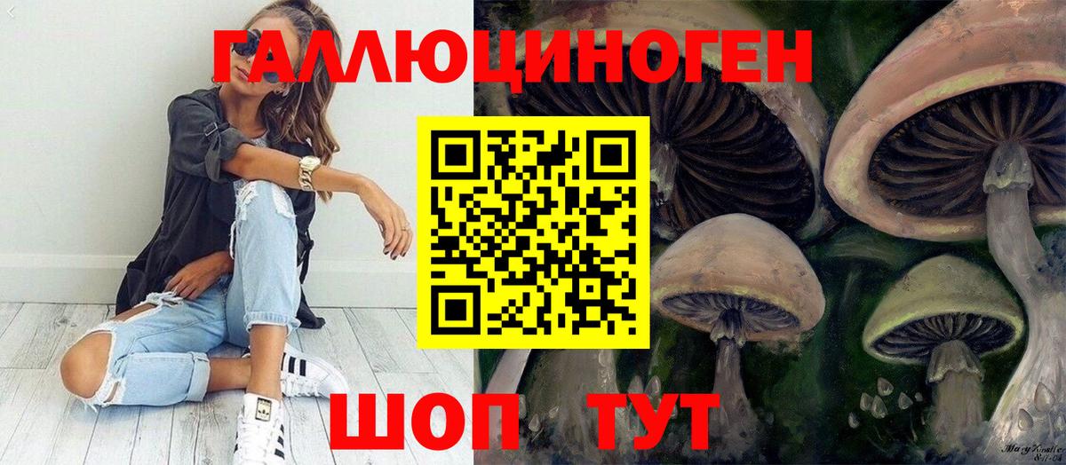 Псилоцибиновые грибы Cubensis Коркино